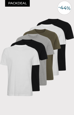 Basic Comfort t-shirt 6 stk
