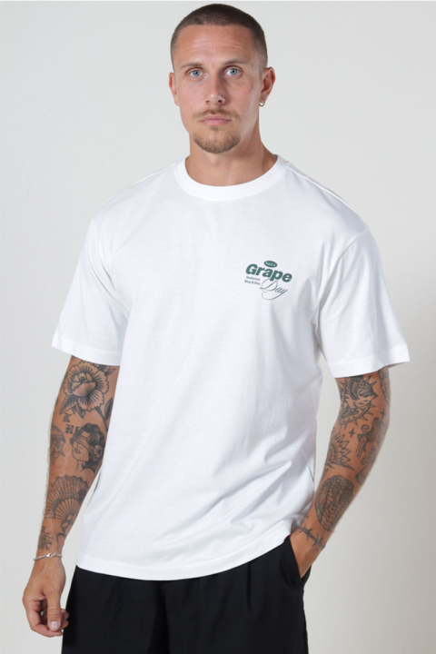 ONLY & SONS Alfresco Relaxed Fit Tee Gardenia