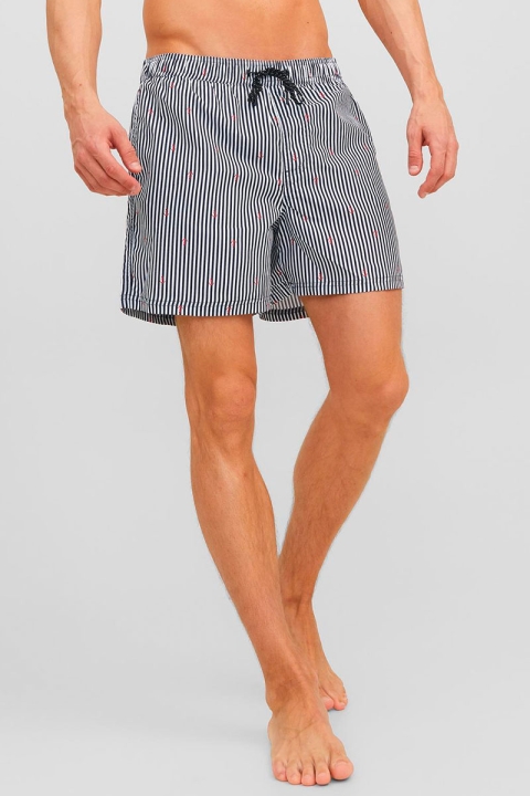 Jack & Jones Fiji Swim Shorts Mini Stripe Navy Blazer