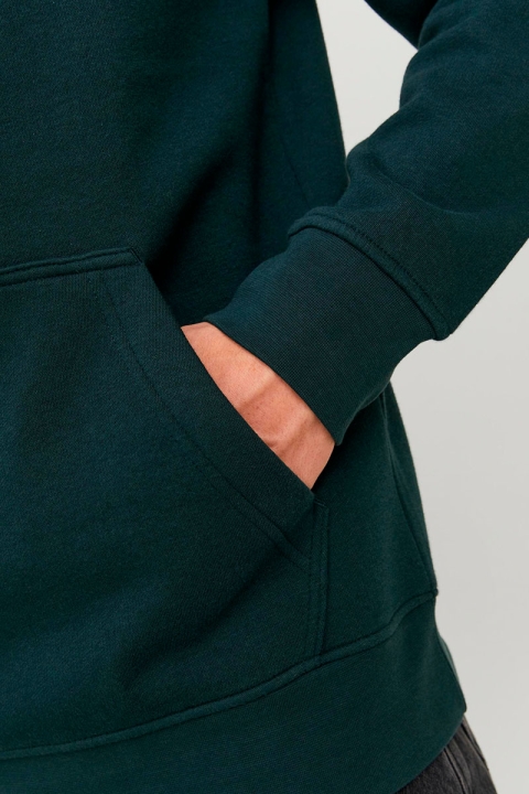 Jack & Jones Vesterbro Hoodie Sweat Magical Forest