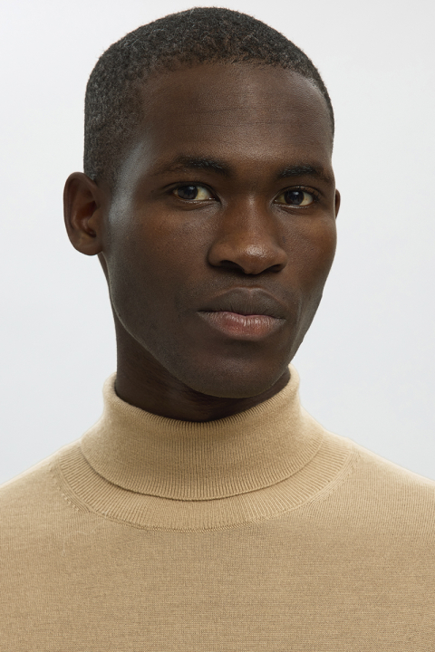 Selected Tray LS Merino Knit Roll Neck Kelp