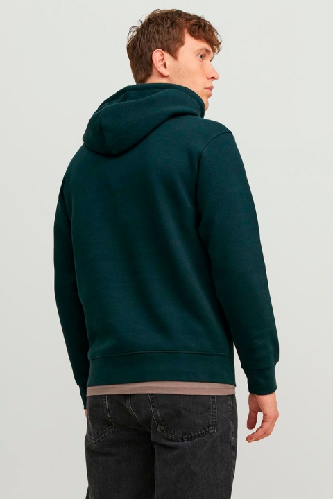 Jack & Jones Vesterbro Hoodie Sweat Magical Forest