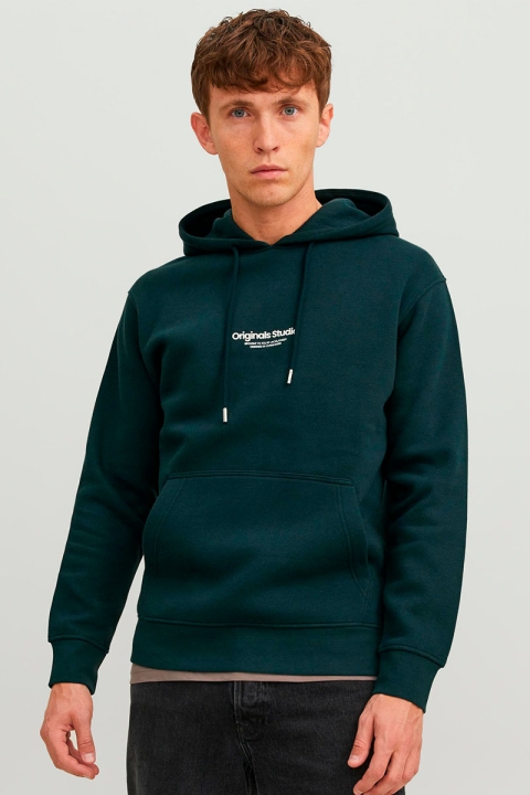Jack & Jones Vesterbro Hoodie Sweat Magical Forest