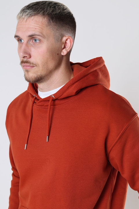 Solid Lenz Hood SW Picante