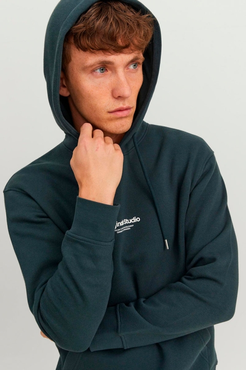 Jack & Jones Vesterbro Hoodie Sweat Magical Forest