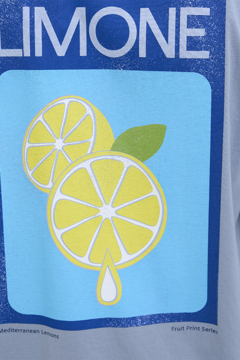 Jack & Jones Limone Relaxed Fit Tee Subdued Blue