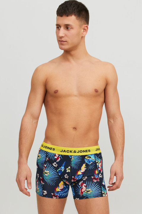 Jack & Jones Flower Bird Trunks 3 Pack Surf the Web