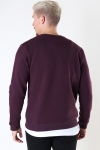 ONLY & SONS CERES CREW NECK Fudge