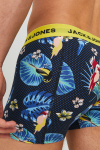 Jack & Jones Flower Bird Trunks 3 Pack Surf the Web