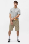 Dickies SS MAPLETON T-Hemd GREY MELANGE