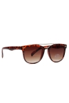 Fashion 1492 WFR Sonnenbrille Havanna/Brown 