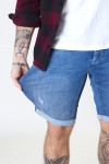 Gabba Jason Shorts K3787 RS1315