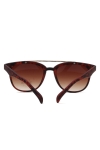 Fashion 1491 WFR Sonnenbrille Havanna/Brown 
