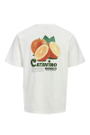 Jack & Jones Bradley Relaxed Fit Fruits Tee Cloud Dancer