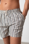 Clean Cut Copenhagen Swim Shorts Brown/Navy Striped