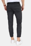 Gabba Pisa Chino KD3920  Dk Hound Dark Grey