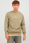 Jack & Jones Vesterbro Sweat Crew Neck Aloe