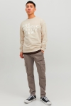 Jack & Jones Paul Flake Cargo Pants Falcon