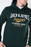 Jack & Jones LOGO SWEAT HOOD 2 COL 22/23 Pine Grove