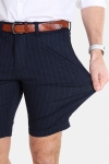 Gabba Jason Chino Pinstripe Shorts Navy