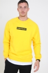 Denim Project Box Logo Crewneck Yellow