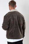 ONLY & SONS ONSLOUIS LIFE JACKETCORDUROY PK 0421 Canteen