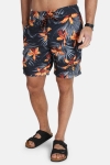 Superdry Vacation Paradise Swim Shorts Carbon Grey