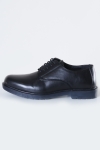 Liebhaveri Chris Derby Schuh Black