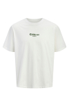 Jack & Jones Bradley Relaxed Fit Fruits Tee Cloud Dancer
