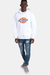 Dickies Nevada Hoodie White