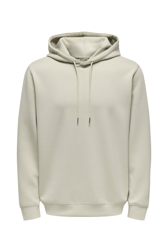 Luca Regular Fit Hoodie  Silver Lining