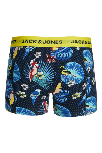 Flower Bird Trunks 3 Pack Surf the Web