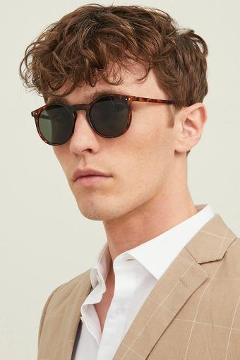 Ryder Sunglasses Camel